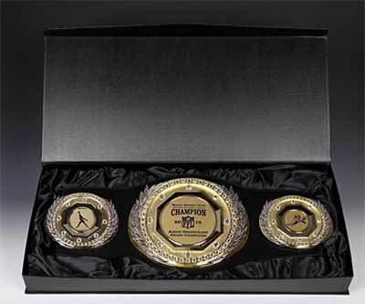sld-belt-display-case.jpg SLD Awards Fantasy Belt Display Case