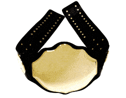 Fully-Custom Fantasy Champion Belt