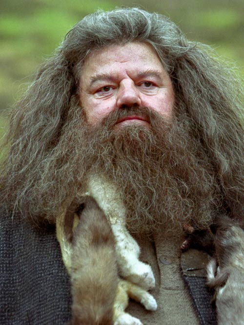 Rubeus Hagrid Harry Potter Team Name