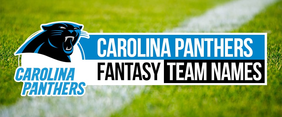 Panthers Fantasy Football Names