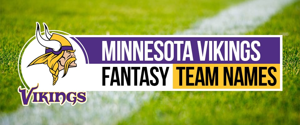 Vikings Fantasy Football Fans